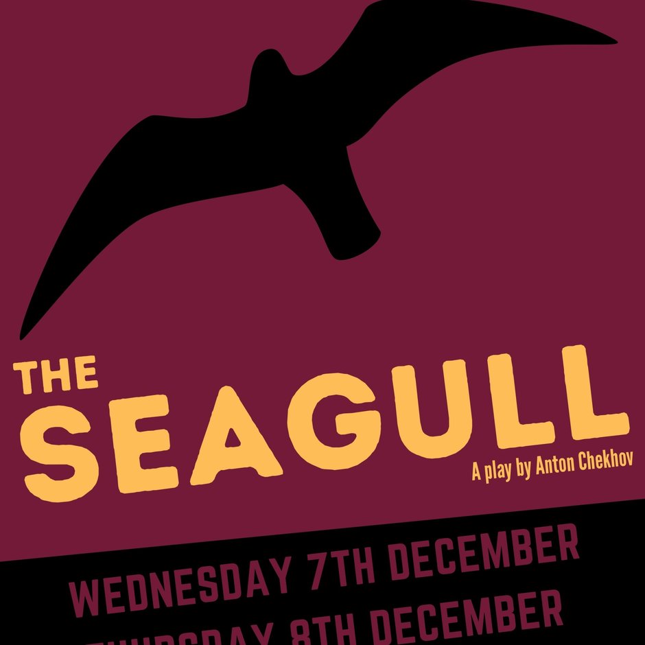 seagull